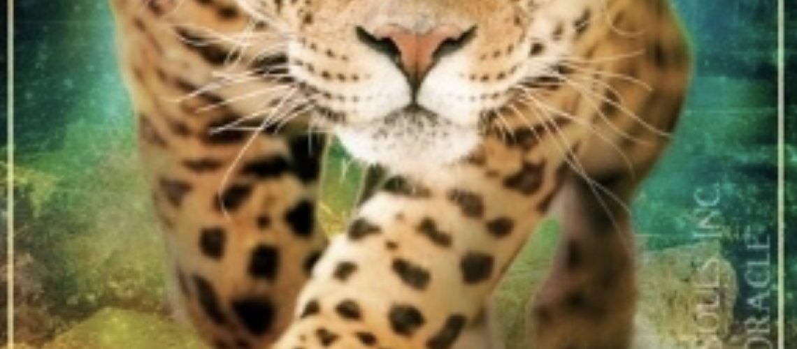 Jaguar-Queen-of-Swords